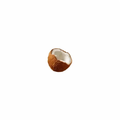 Coconut TFA Natural Light Coconut Blend - Bangvapeaustralia
