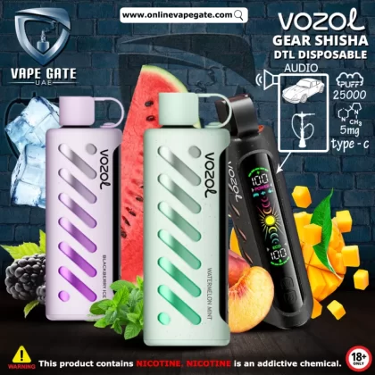 Vozol Gear Shisha DTL DISPOSABLE POD (25,00 PUFFS) - 5 mg / Berry Mint