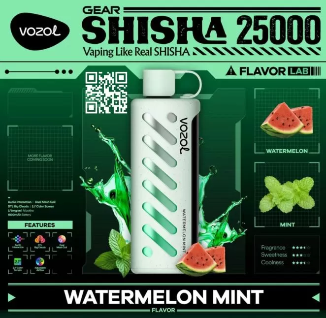 Vozol Gear Shisha DTL DISPOSABLE POD (25,00 PUFFS) - 5 mg / Berry Mint - Image 2