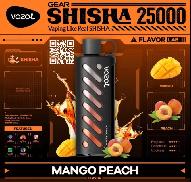Vozol Gear Shisha DTL DISPOSABLE POD (25,00 PUFFS) - 5 mg / Berry Mint - Image 3