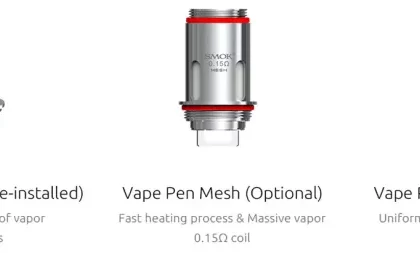 SMOK VAPE PEN 22 0.3 Ohm Replacement Coil 5PCS-PACK - Vape Pen 22 Mesh 0.15ohm