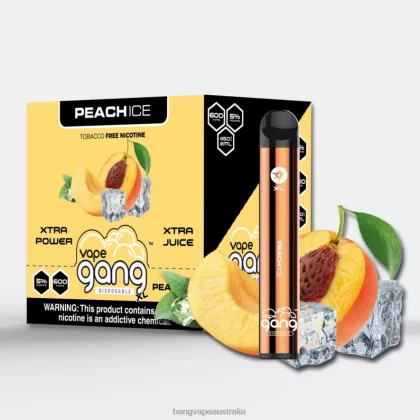 Vape Gang XL Disposable Vapes 600 puffs (Box of 10) 6006N77 Peach Ice – Vape Gang Melbourne - Bangvapeaustralia