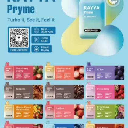 RAYYA PRYME BY ELF BAR DISPOSABLE VAPE POD 3,000 PUFFS - Vapevandal