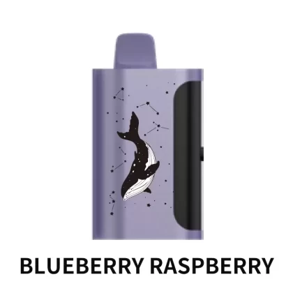 PICCO STAR 40000 Puffs – Blueberry Raspberry - Vape Store