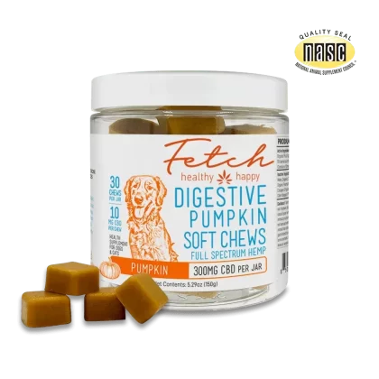 Extract Labs Fetch Digestive Pumpkin Soft Chews