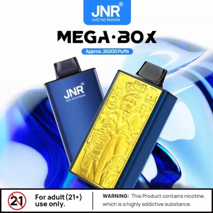 JNR Mega Box 25000 – 25K Puffs 30ml Dual Mesh Coil Disposable Vape Wholesale Price - Flamevape