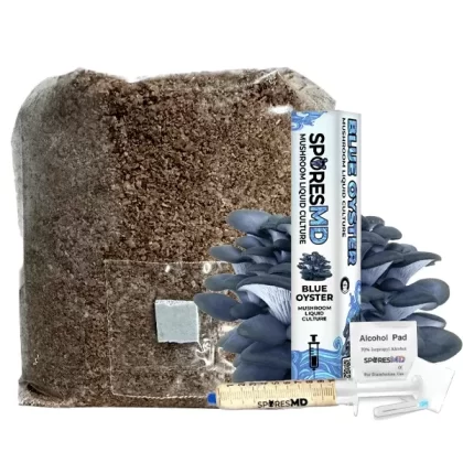 SporesMD Functional Mushroom Kit – Blue Oyster