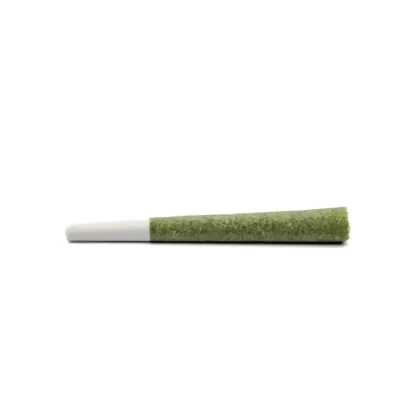 Washington Bud Co (3.5g Total) Gorilla Girl Joints Washington Bud Co 7pk