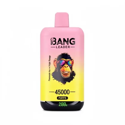 Bang Leader 45000 Puffs Double Flavors 45k Disposable Vape - Random Flavors(fast Delivery), Watermelon Ice & Strawberry Mango; 3-nicotine, 2-nicotine