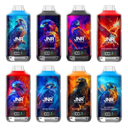 JNR Falcon X 18000 Puffs Disposable Kit - Strawberry Watermelon ICE