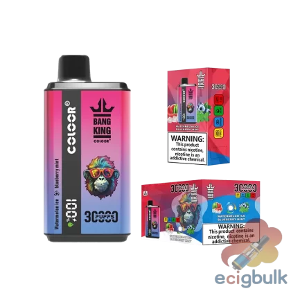 Bang King 30000 Double Flavor Disposable Vape Pen | 30000 Puffs | Dual Taste