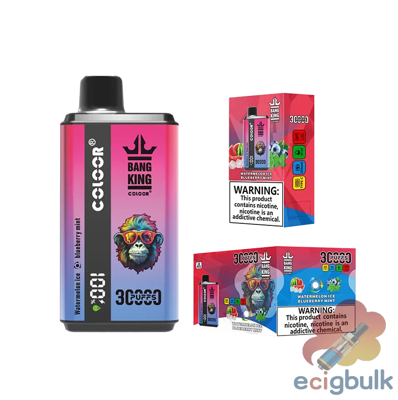 Bang King 30000 Double Flavor Disposable Vape Pen | 30000 Puffs | Dual Taste