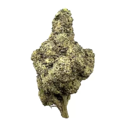Top Shelf Sherbanger THCa Flower