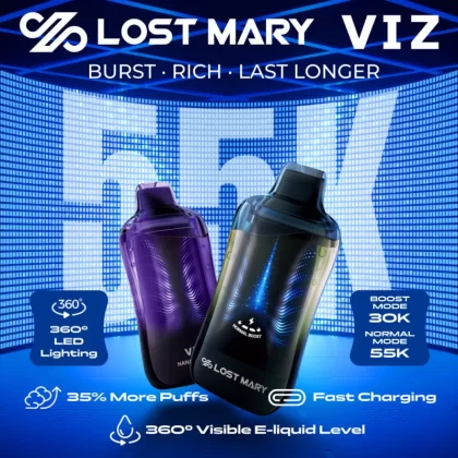 Lost Mary VIZ 55K Puff Disposable Device - 55,000 Puffs - Blue Razz Ice