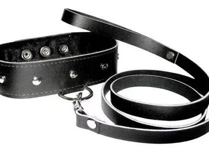 Leather Collar and Leash Set