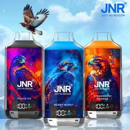 JNR Falcon X 18000 Puffs | 2% strength, 24mL, dual mesh & core, LED display, airflow control - Aiviouvapes