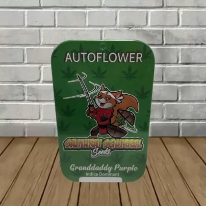Samurai Squirrel Seeds Autoflowering Cannabis Seeds 5ct
