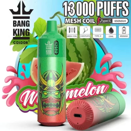 Bang King 13000 Puffs Disposable Vape - Flavors#Rassberry Watermelon>Mixed Berry>Strawberry Watermelon>Watermelon Ice>Peach Ice>Peach Blueberry>Aloe Grape>Blue Razz Ice>Passion Kiss>Mango Pe (4D9FD3)