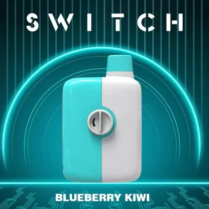 Mr Fog Switch Disposable Vape – Blueberry Kiwi