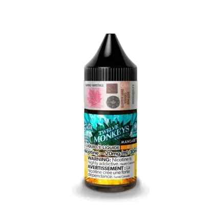 TWELVE MONKEYS ICE SALT 30 ML – MANGABEYS