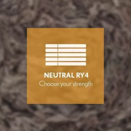 RY4 By Blast E-Liquid 10ml - 18mg
