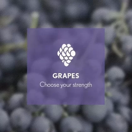 Grape By Blast E-Liquid 10ml