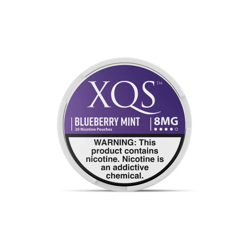 XQS Nicotine Pouch Blueberry Mint (20 Count) - 2MG