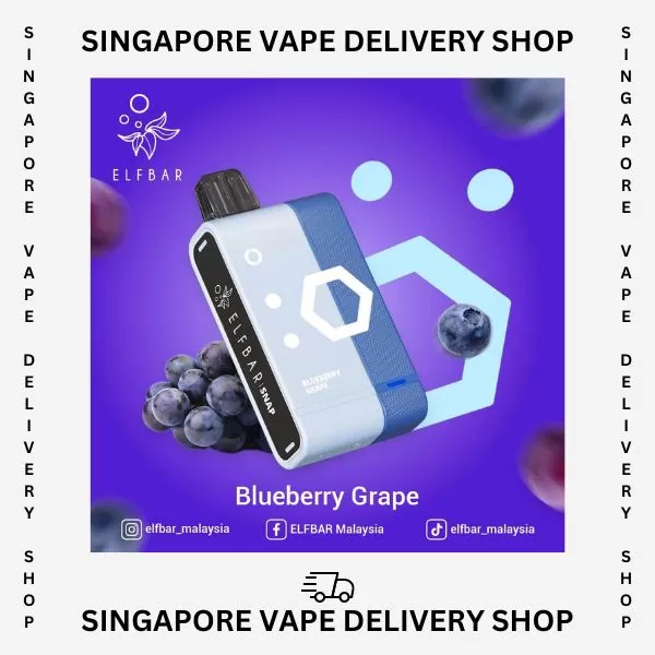 Elf Bar Snap 14000 Puffs - Starter Kit (Device + Cartridge) / Grape - Image 2