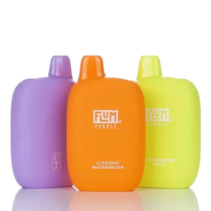 Flum Pebble 6000 Puffs Disposable Vape - 14ML - Cool Mint