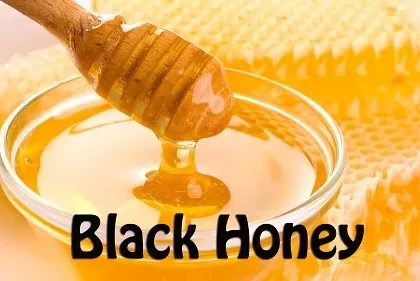 Black Honey Premium E-Liquid