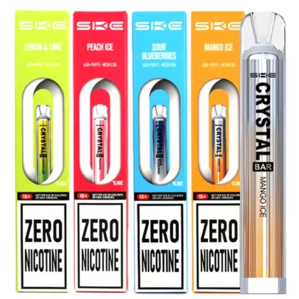 SKE Bar 600 ZERO NICOTINE Prefilled KIT - Blueberry Raspberries