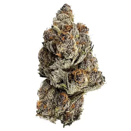 Blizzard Wizard (Indica dom. Hybrid)