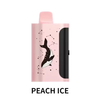 PICCO STAR 40000 Puffs – Peach Ice - Ozvapeone
