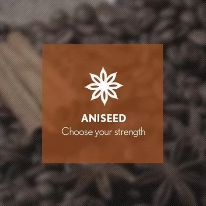 Aniseed By Blast E-Liquid 10ml