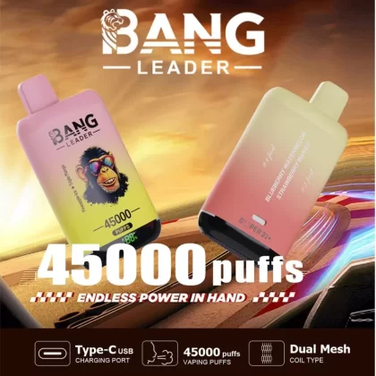 Bang Leader 45000 45K Puffs 2% 3% 5% Nicotine Double Taste LED Display Disposable Vape - Vapeq10