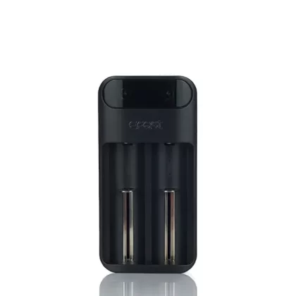 Efest LUSH Q2 2-Bay Charger - Vapordna