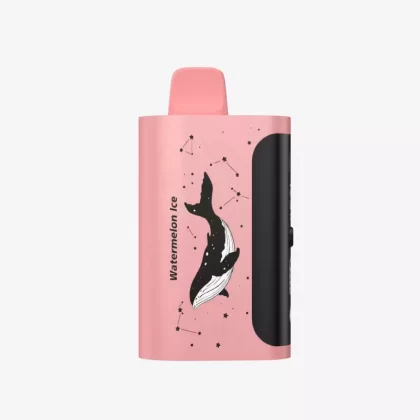 PICCO STAR 40000 Puffs – Watermelon Ice - Ozvapeone