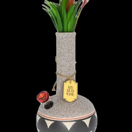 My Bud Vase “Coyōté” Water Pipe