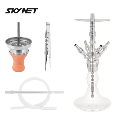 Skynet 2K20 1.0 - Skynet / Edelstahl