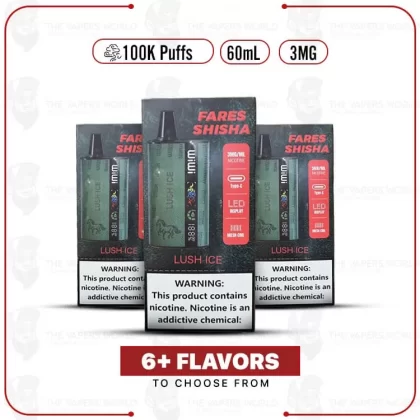 WiWi Fares Shisha 100K Puffs Disposable Vape – 3MG - Black Ice, Blueberry Gum (902FC3)