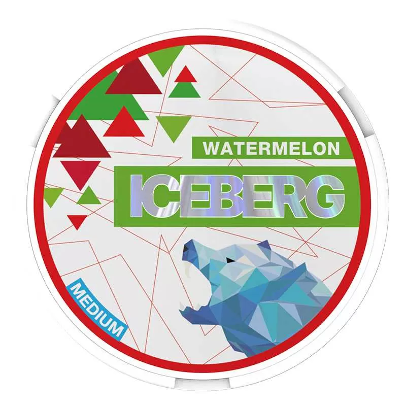Iceberg Snus 20mg Nicotine Pouches - Image 2