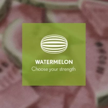 Watermelon By Blast E-Liquid 10ml - 6mg