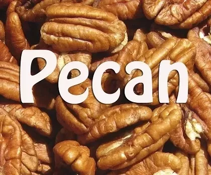 Pecan Premium E-Liquid