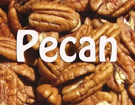 Pecan Premium E-Liquid