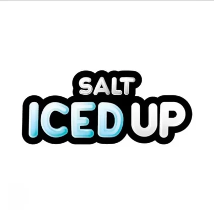 ICEDUP SALT NIC 30ML - Strawberry kiwi Ice / 12MG