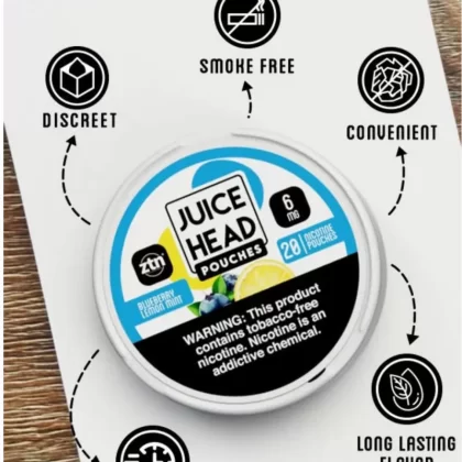 Juice Head Pouches 5pk - Raspberry Lemonade Mint / 12mg - Skullvaping