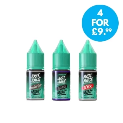 Just Juice Mint Nic Salt 5mg (0.5%) 10ml E-liquid - Vape Co