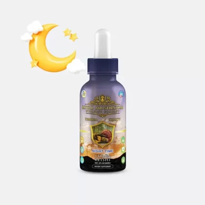 Royal Mushroom Night Time Tincture | Chaga & Reishi Extract - Vape Store