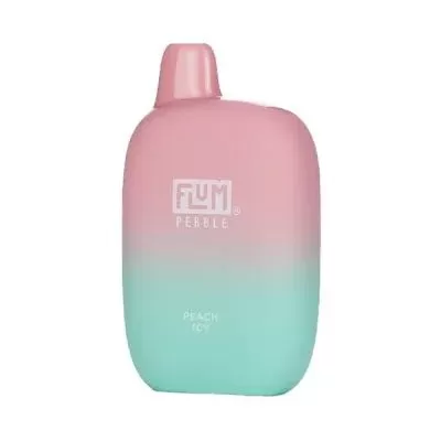 Flum Pebble Peach Icy Disposable 6000 Puffs