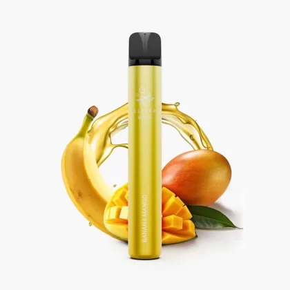 ELFBAR 600V2 Banana Mango | Bananen Mango Einweg Vape